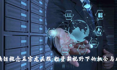 区块链概念正宗龙头股：投资新视野下的机会与风险