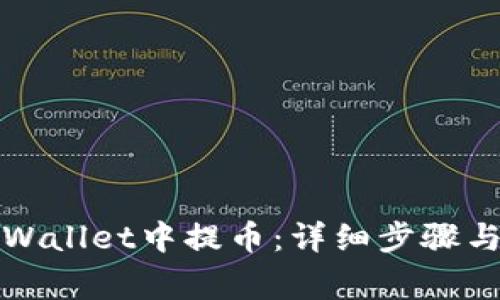 如何在tpWallet中提币：详细步骤与注意事项