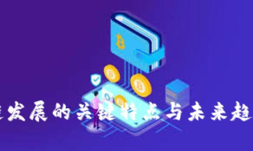 区块链发展的关键特点与未来趋势分析