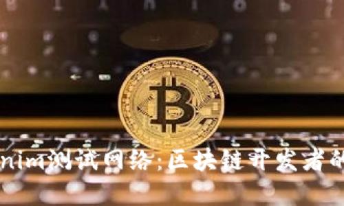深入了解Tokenim测试网络：区块链开发者的理想实验平台