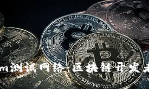 深入了解Tokenim测试网络：区块链开发者的理想实验平台
