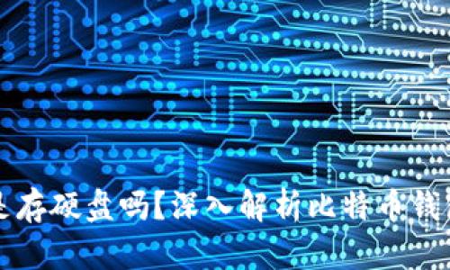 比特币钱包是存硬盘吗？深入解析比特币钱包的存储方式