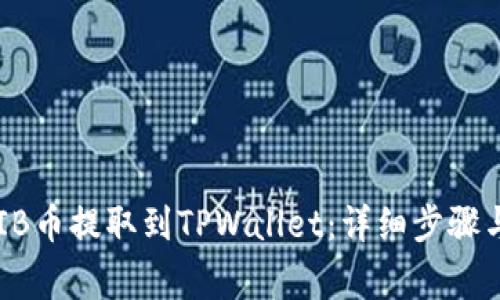 如何将SHIB币提取到TPWallet：详细步骤与注意事项