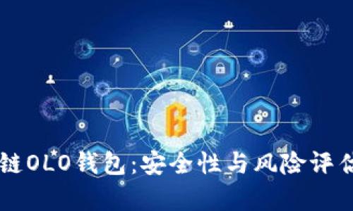 区块链OLO钱包：安全性与风险评估分析