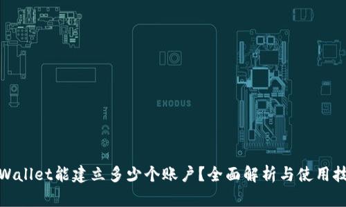 tpWallet能建立多少个账户？全面解析与使用技巧