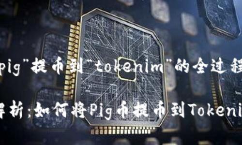 理解“pig”提币到“tokenim”的全过程

全面解析：如何将Pig币提币到Tokenim平台