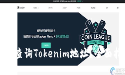 如何查询Tokenim地址？全面指南