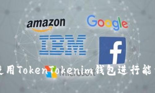 如何使用TokenTokenim钱包进行能量租赁