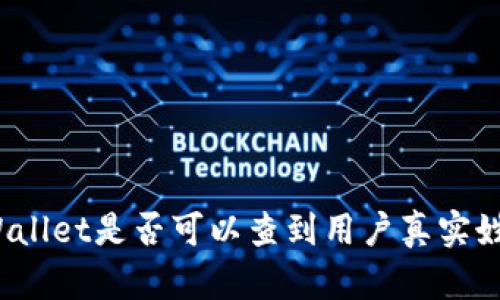 tpWallet是否可以查到用户真实姓名？