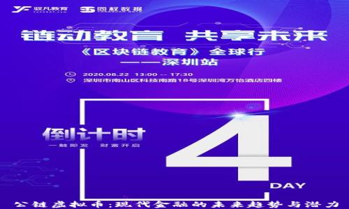 
公链虚拟币：现代金融的未来趋势与潜力