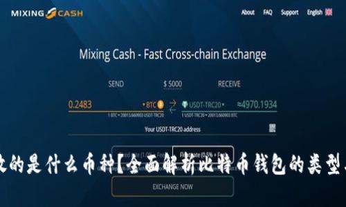 比特币钱包存放的是什么币种？全面解析比特币钱包的类型与其适用的币种