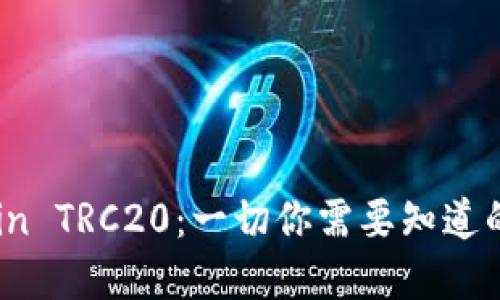 揭秘Token in TRC20：一切你需要知道的市场与技术