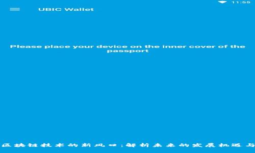 抢滩区块链技术的新风口：解析未来的发展机遇与挑战