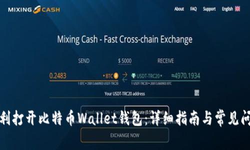 如何顺利打开比特币Wallet钱包：详细指南与常见问题解答