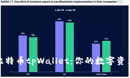 全面解析比特币tpWallet：你的数字资产安全之选