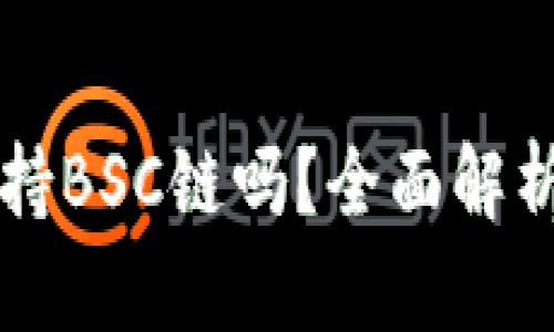 tpWallet支持BSC链吗？全面解析与使用指南