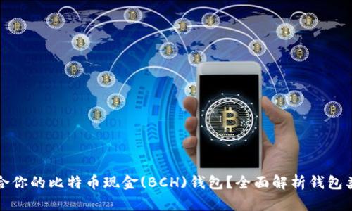 如何选择最适合你的比特币现金(BCH)钱包？全面解析钱包类型及使用指南