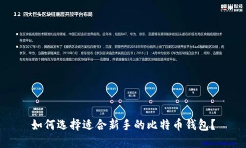 如何选择适合新手的比特币钱包？