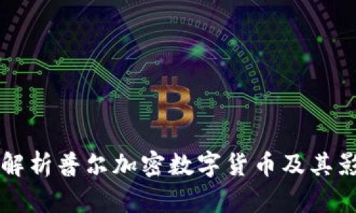 全面解析普尔加密数字货币及其影响力