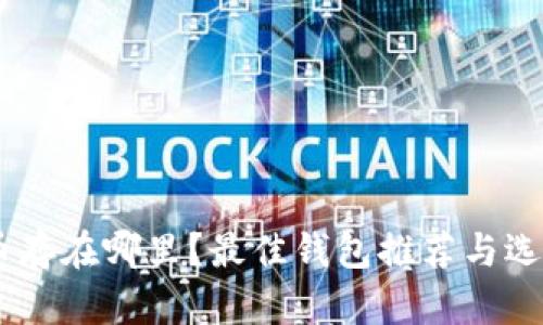 SHIB币存在哪里？最佳钱包推荐与选择指南