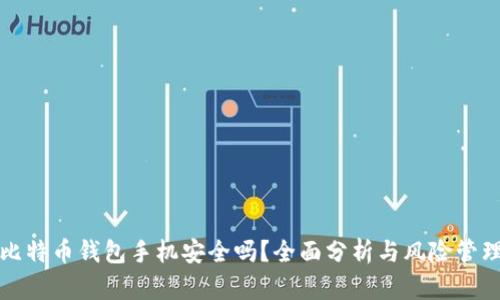 比特币钱包手机安全吗？全面分析与风险管理