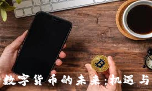  
央行数字货币的未来：机遇与挑战
