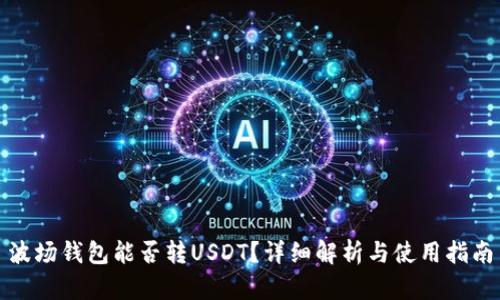 波场钱包能否转USDT？详细解析与使用指南