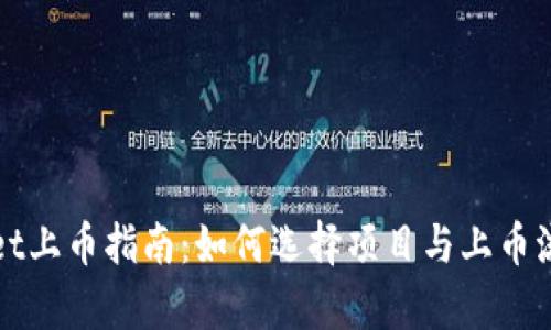 tpWallet上币指南：如何选择项目与上币流程详解