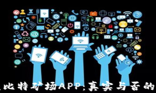 
揭秘新疆比特矿场APP：真实与否的全面分析