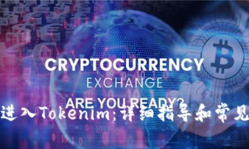 如何顺利进入Tokenim：详细指导和常见问题解答