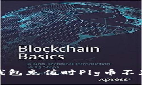 : 如何解决TP钱包充值时Pig币不显示价格的问题