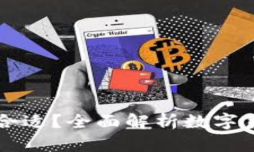 买虚拟币用什么钱包合适？全面解析数字货币钱包的选择与使用