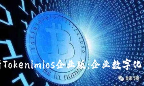 : 全面解析Tokenimios企业版：企业数字化转型的利器