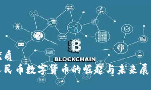 优质  
人民币数字货币的崛起与未来展望