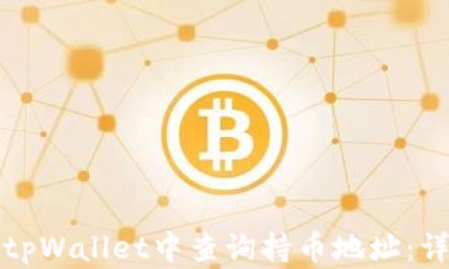 
如何在tpWallet中查询持币地址：详细指南