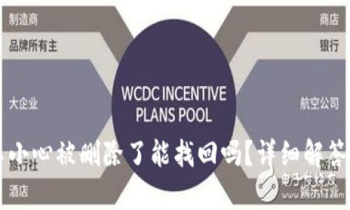 tpWallet不小心被删除了能找回吗？详细解答与恢复方法