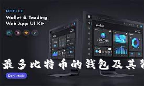 2023年存有最多比特币的钱包及其背后故事分析