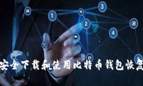 如何安全下载和使用比特币钱包恢复工具