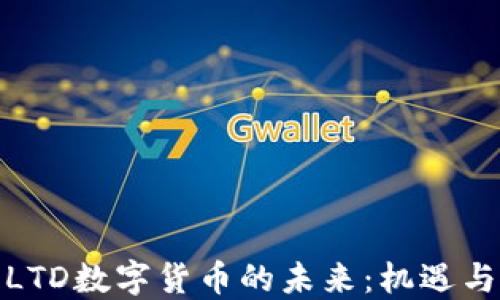 
探索LTD数字货币的未来：机遇与挑战