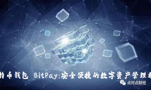 比特币钱包 BitPay：安全便捷的数字资产管理利器