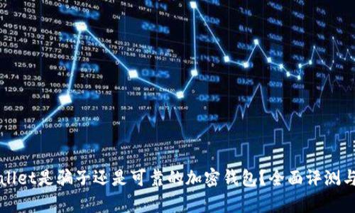 tpWallet是骗子还是可靠的加密钱包？全面评测与分析