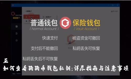 正
如何查看狗狗币钱包私钥：详尽指南与注意事项