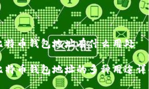 比特币钱包地址有什么用处

比特币钱包地址的多种用途详解