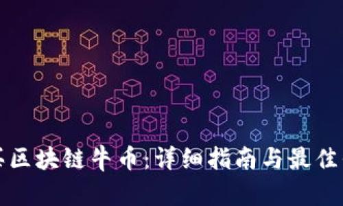 如何购买区块链牛币：详细指南与最佳平台推荐