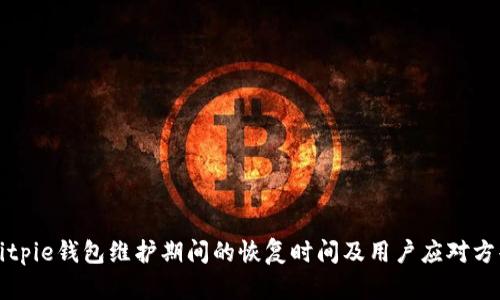 Bitpie钱包维护期间的恢复时间及用户应对方案