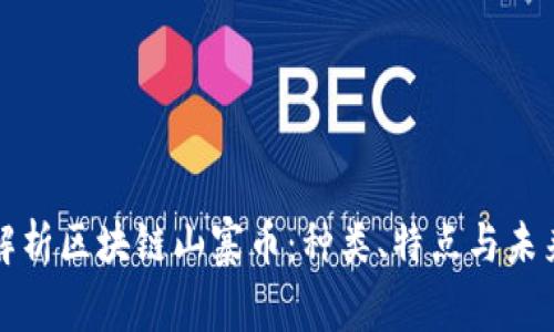 全面解析区块链山寨币：种类、特点与未来发展