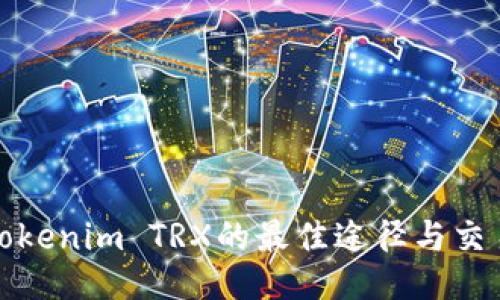 购买Tokenim TRX的最佳途径与交易策略