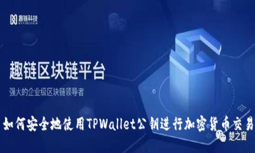 如何安全地使用TPWallet公钥进行加密货币交易