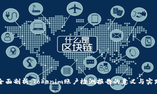 全面剖析：Tokenim账户检测报告的意义与实践