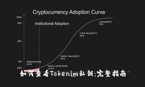 如何查看Tokenim私钥：完整指南
